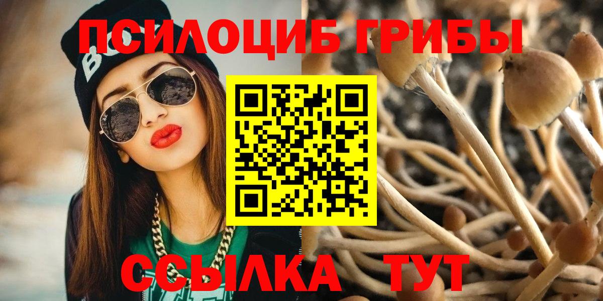 Галлюциногенные грибы прущие грибы  Галлюциногенные грибы прущие грибы  Чебоксары  Вход с VPN 